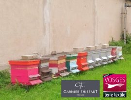 Le miel et les abeilles de Garnier-Thiebaut entreprise agréée Vosges terre textile