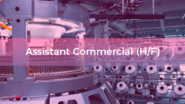 Vignette-Assistant-commercial