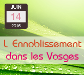 La-qualité-du-linge-des-Vosges-vient-de-son-ennoblissement-blanchiment-Vosges-terre-textile